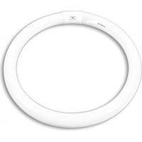 Neon circolare trifosforo 32w luce bianca