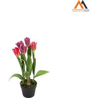 TULIPANO OLANDESE ROSA IN VASO H54CM
