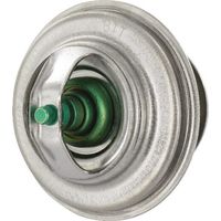 Termostato FENDT F119200050040