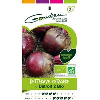 Gondian - betterave potagere bio