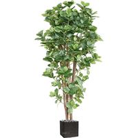 Clusia artificiel variegata H 150 cm en pot