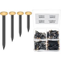 130 Pièces Clous pour Mur en Béton, Ensemble de Clous en Acier pour Béton, Kit de Clous, Clous pour Tableaux, Assortiment de Clous pour Briques Plâtre Bois, Set de Clous en Acier (20/25/30/40mm)