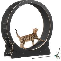 Arbre à chat roue d'exercice pour chats grande taille entraînement des chats tapis amovible extra faible bruit 110x36x117cm Noir Mondeer