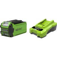 Pack GREENWORKS 40V - 1 batterie 2,0Ah Lithium-ion - 1 Chargeur