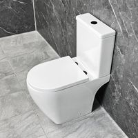 Tornado Flush Toilet with Black Flush Button & Hinges Open Back Rimless WC