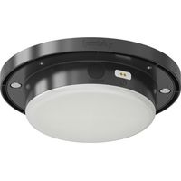 Bombilla LED recargable D 13.3 H 3.5 cm SUNNY