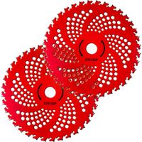 2 lames en carbure (23 cm x 36 dents) — Lames de tondeuse, accessoires de désherbage et de jardinage