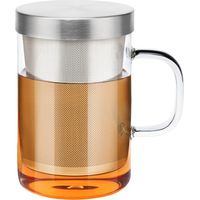 Tasse à thé en verre borosilicate 450ml avec infuseur et couvercle
