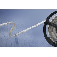 Barthelme 51540234 51540234 LED-Streifen mit offenem Kabelende 24 V 5 m Kaltweiß 1 St.