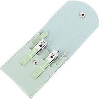 Kit de pédicure professionnel 4 pièces avec étui de transport, ensemble de manucure et pédicure en acier inoxydable avec outil de nettoyage du cérumen (vert clair B)