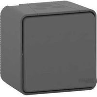 Interruptor seccionador MUREVA gris IP55 10 AX 250 V AC, montaje en superficie