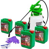 ALGAE, LICHEN & MOULD Crikey Mikey Pavement Slab Path Treatment Professional 20L Kit