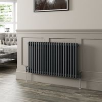 600 x 1010mm Double Horizontal Traditional Colosseum Anthracite Column Radiator