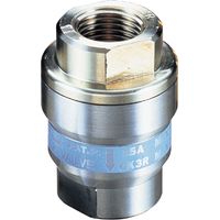 Edelstahlrueckschlagventil CK3M 1/2" CF8 1/2 Rp BSP met.dicht. 21bar/220C