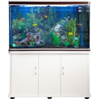 MonsterShop - Acquario 300 Litri con Armadietto Bianco e Kit con Piante e Ghiaia Nera 143cm x 120cm x 39cm
