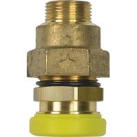 RAC PLT DN25 mâle 3/4" JPG CLAP