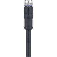 Escha 8046204 Sensor-/Aktor-Steckverbinder, konfektioniert M8 Buchse, gerade 2.00 m Polzahl Sensoren