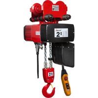 DELTA Premium Elektrischer Kettenzug Typ DEY Tragkraft 3,0t Hubhöhe 10m
