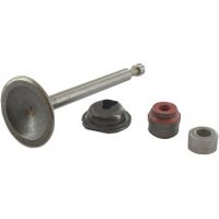 Briggs und Stratton Einlassventil 594094