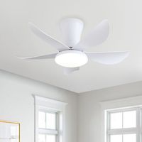 Ventilateur de Plafond 76 cm avec Lumière et Télécommande, Plafonnier Réversible Silencieux et Dimmable pour Chambre(Blanc)