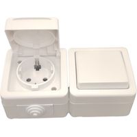 Prise 2P + T 16A 250V + Interrupteur 10A 250V Etanche Surface Blanche