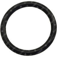 Anello OR per pompe BERTOLINI COMPATIBILE - 004572