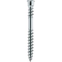 Vite Per Terrazza Testa Cilindrico Tx15 Acciaio Inossidabile Temprato Con Omologazione, 905535 5,5 X 50 (A 200)