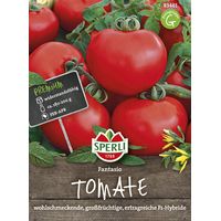 Sperli Tomaten Fantasio F1 - Gemüsesamen