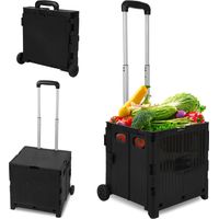 Randaco Chariot de course pliable 45L avec couvercle, 2 roues, panier trolley pour courses et maison, noir