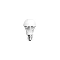 Ampoule otros halogen 70W 5500 lumens