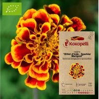 Oeillet d'Inde Sparkler Marigold- Graines bio à semer