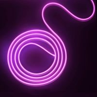 ZOLGINAH 5m Tira Led 12V Tira Led Flexible Neón Luz Cálida IP65 Impermeable 120 LEDs/M para Decoración Interior/Exterior (Adaptador de Corriente No Incluido)-Púrpura