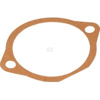 Guarnizione 0.3 mm Maschio MASCHIO M66100124R