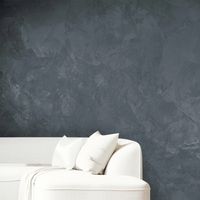 Primacol Polaris Peinture Décorative Intérieure Effet Satiné Scintillant - Graphite