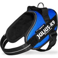 Julius Arnés para Perros IDC 0 Azul