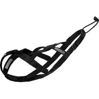 1 Harnais Chien Nylon Noir M Pour Canicross Bikejöring Skijöring Scootering Entraînement Traction