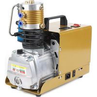 Elektrische Hochdruckluftpumpe mit Öl-Wasser-Abscheider Hochdruck Luftkompressor 30MPA 4500PSI PCP