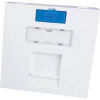 Socamont 71522 Plastron droit 1 entrée Keystone 45x45mm avec volet et insert de couleur