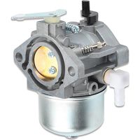 DOLASO Vergaser für Briggs & Stratton 690119, kompatibel
