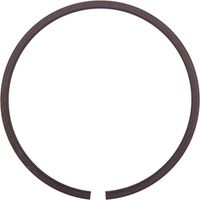 Circlip IDC WR22