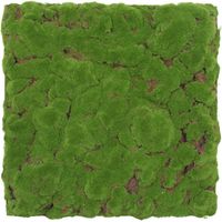 JANGAL Modular Wall Akustik 3D Paneele 520 x 520 mm Forest Green Bulk Design Moos Kunst Pflanzwand Moospaneele