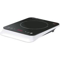 PIASTRA AD INDUZIONE EKP2430