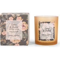 Glass Scented Candles, Natural Wax, 40-Hour Burn