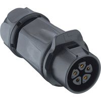 Lutronic 2640 04 T12 CB A Rundsteckverbinder Kupplung, gerade Gesamtpolzahl: 4 1 St.