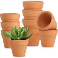 Petits Pots en Terre Cuite, 10 pcs Pots de Fleurs en Terre 3cm avec Trou de Drainage Pot Terre Cuite, Pot de Fleur en Terre Cuite de Succulent Cactus pour l'intérieur Extérieur Jardin Chambre