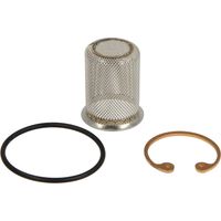 BOSCH Tamis à eau DN20 (Mesh = 0.6), 8733702123