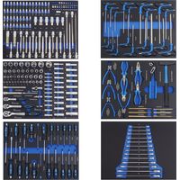 6x Profi Werkstattwageneinlagen 520x400 mm bestückt mit 250 Teilen Chrom-Vanadium Werkzeug blau