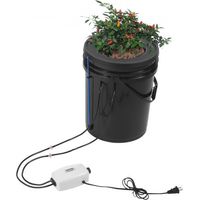Sistema di Coltivazione Idroponica DWC Kit Coltura in Acqua