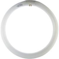 Q.TA' 12 CIRCOLINA 22W G10Q 1200LM 6500K