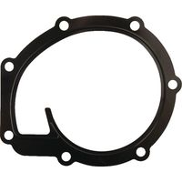 Wasserpumpendichtung MASSEY FERGUSON 4225204M1